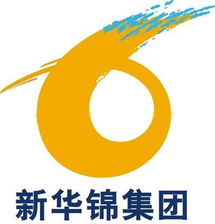 高效貿(mào)易橋梁 山東新華錦國際商務(wù)集團(tuán)的專業(yè)代理代辦服務(wù)